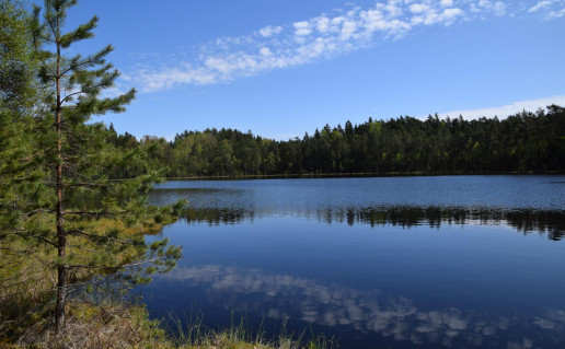 36_Pageluvio ežerynas.jpg